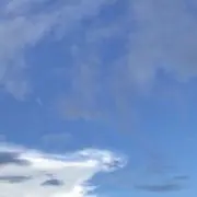 しーの画像