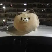 ATYU