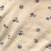 散財みーちの画像