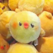 玉吉の画像