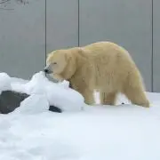tanの画像