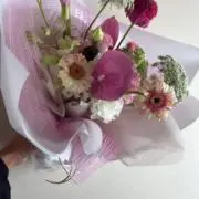 こびちゃん♥︎の画像