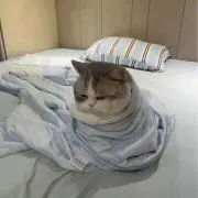 @@@の画像