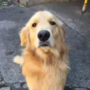 たまちゃん