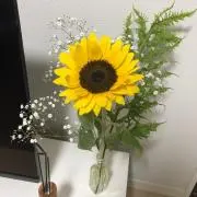 hima セール有り✨送料無料♡の画像