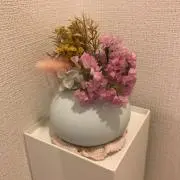 NAの画像
