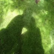 ぴーの画像