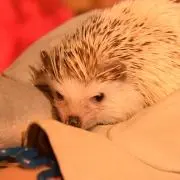 みき即購入OK✨✨の画像