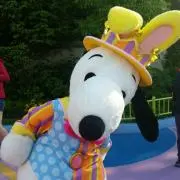 ゆんの画像