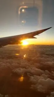SGYの画像