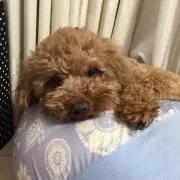 かっちゃん