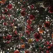 Sugaの画像
