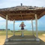 まきの画像
