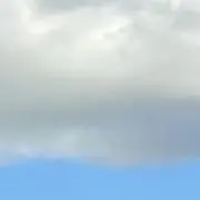 りとるの画像