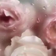 Aiの画像