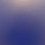 lanの画像