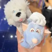 (^o^)/の画像