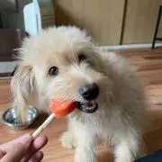 sunny♡の画像