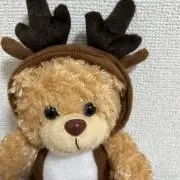 くるみの画像