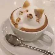 ha