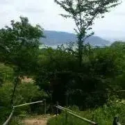 いももちの画像
