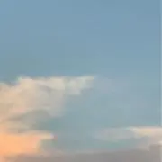 りりの画像