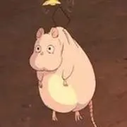 shunhoi14の画像