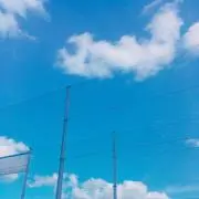 かの画像