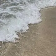pipi 断捨離中の画像
