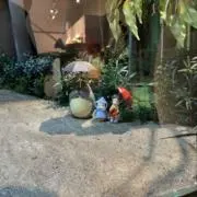 maaaaaの画像