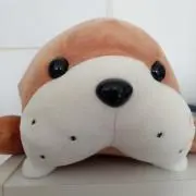 Image of しなこ
