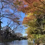 ちぃの画像