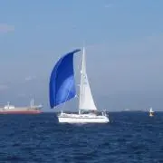 たろうの画像