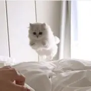‪ ♡