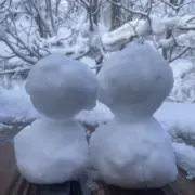 S2の画像