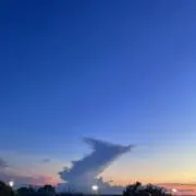 虎徹
