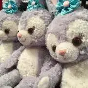 はなこの画像