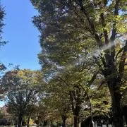 Itaの画像