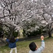 はるおみの画像