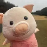 あやの画像