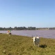 よこちょの画像