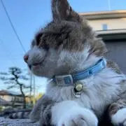 くぅ