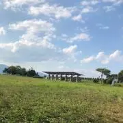 ナンシーの画像