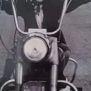 RARAの画像