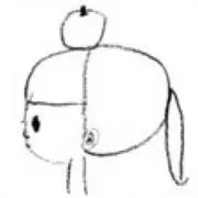 ノッキ