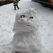 ゆあさ