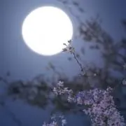 くう