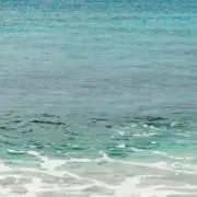 海