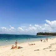 とむの画像