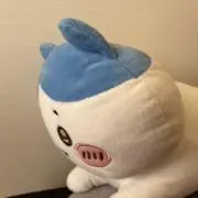 nutsの画像